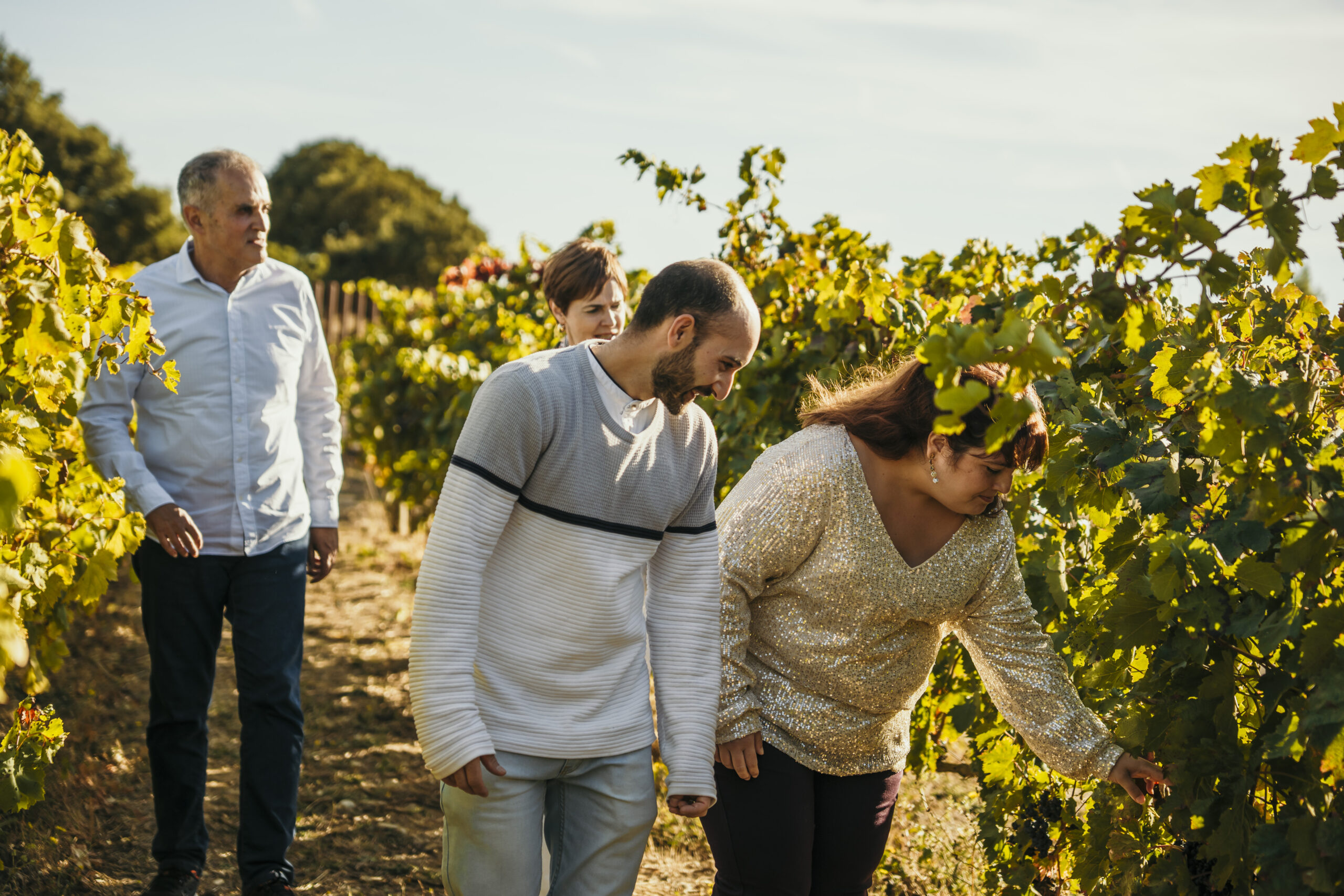 De Selección (3 vinos)
