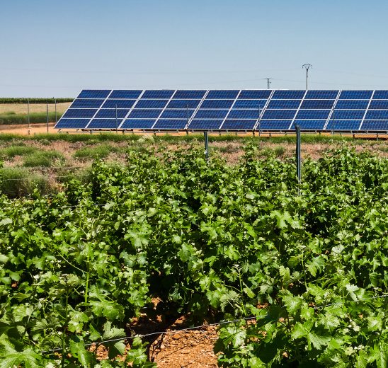 11c4aa17ddf229ca4076d9f555f610cf75a6ef5c