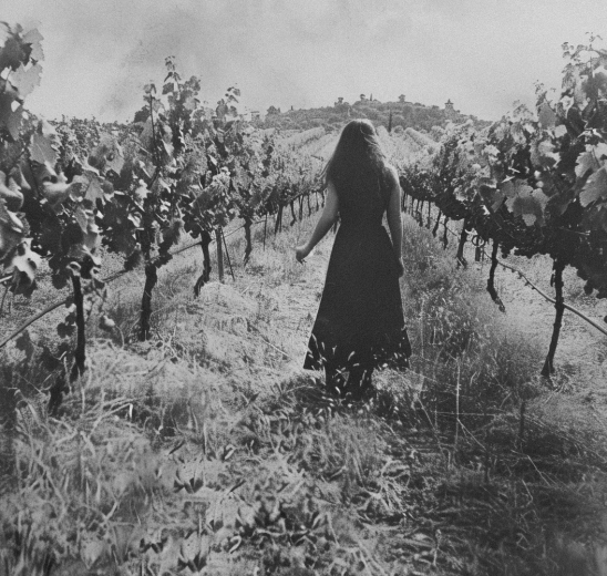 27a3cde296ad215115aeac929291909ef9748a7b