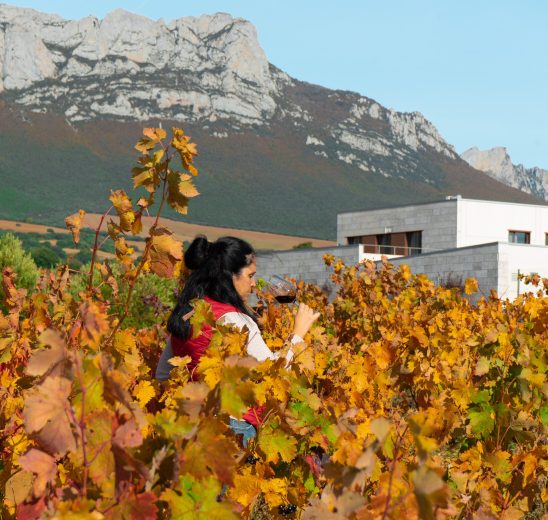 935dcc33c0cfa89e26ee468c621cadf2f759ad6b