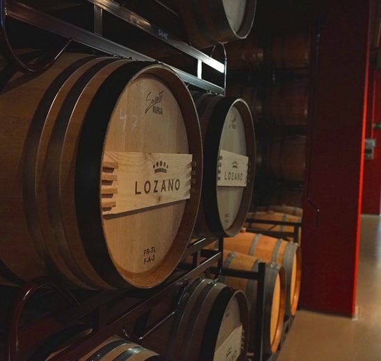 bodega-rioja-bodegas-lozano-barricas