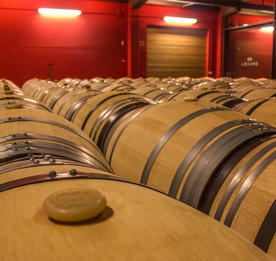 bodega-rioja-vinos-bodegas-lozano