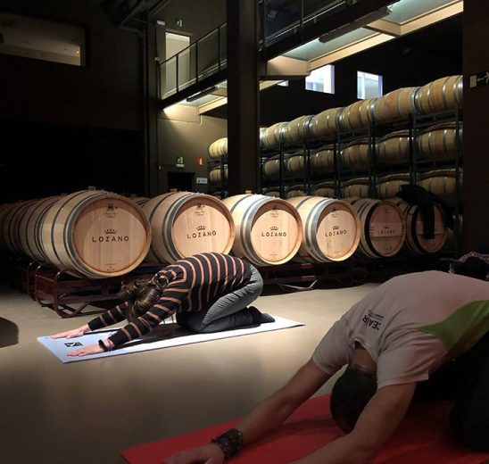 eventos-bodegas-lozano-enoturismo-pilates-adultos