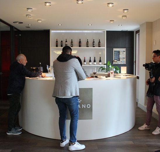eventos-bodegas-lozano-enoturismo1